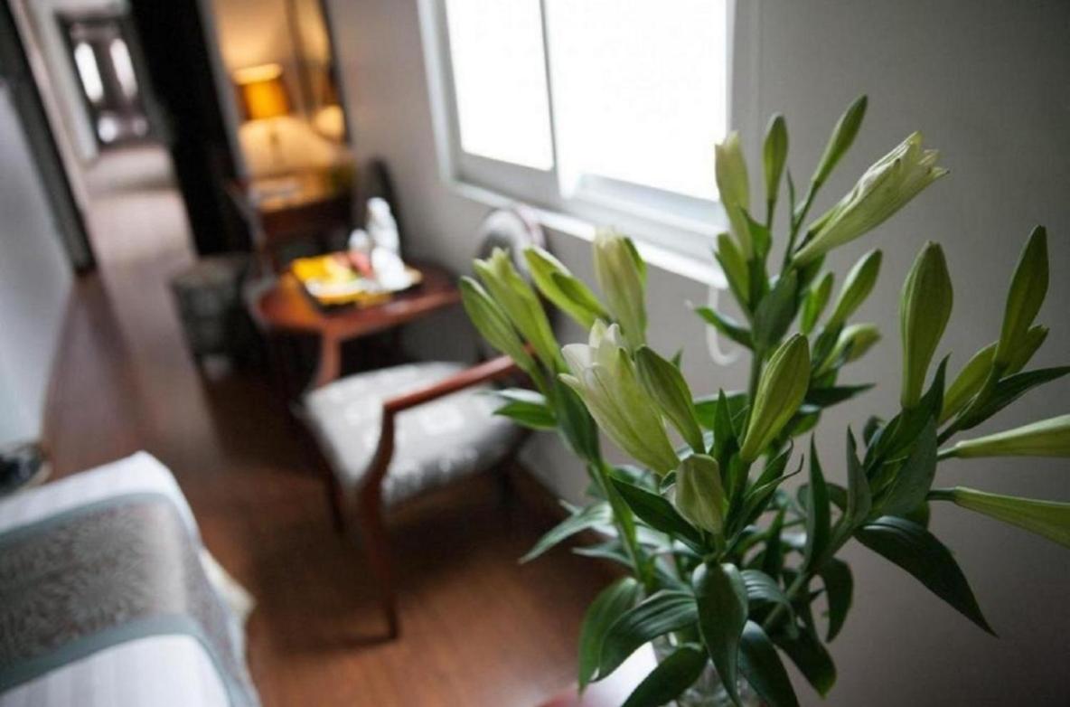 Skylark Boutique Hotel Hanoi Exterior photo